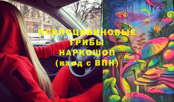 дживик Баксан