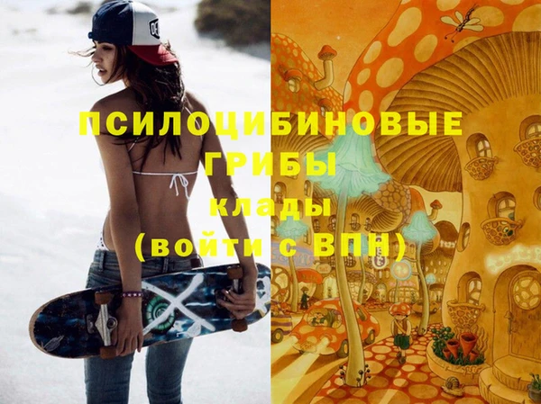 дживик Баксан