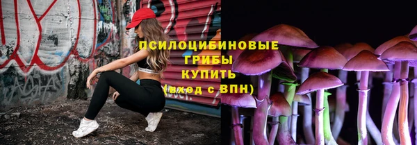 дживик Баксан